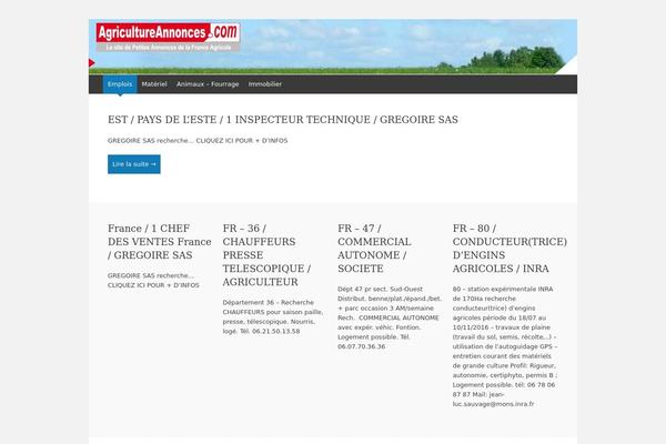 WordPress website example screenshot