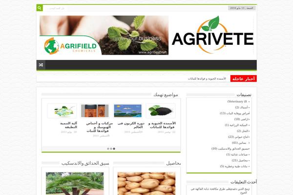Sahifa theme site design template sample