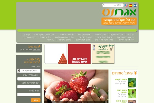 agronet.co.il site used Agronet