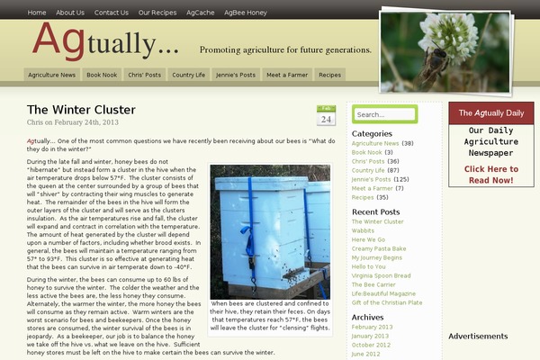 WordPress website example screenshot