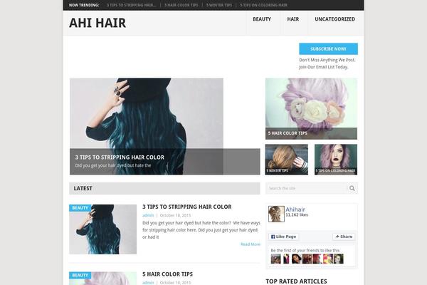 Point theme site design template sample