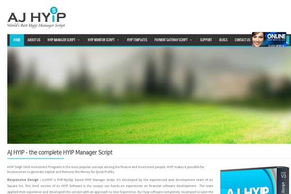 WordPress website example screenshot