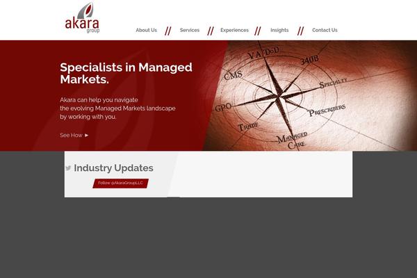 akaragroup.com site used Websignia_wordpress_theme