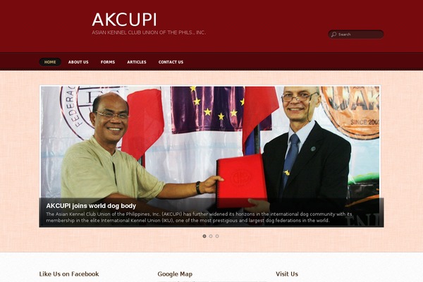 WordPress website example screenshot