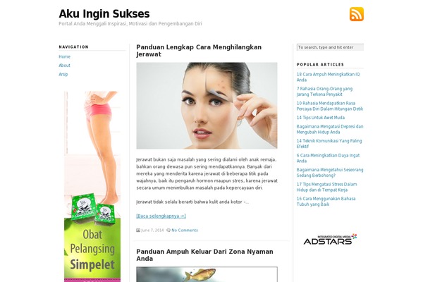 WordPress website example screenshot