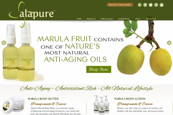 alapure.com site used Alapure_beta