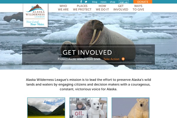 AWL WordPress theme, websites list used AWL theme AWL theme websites examples