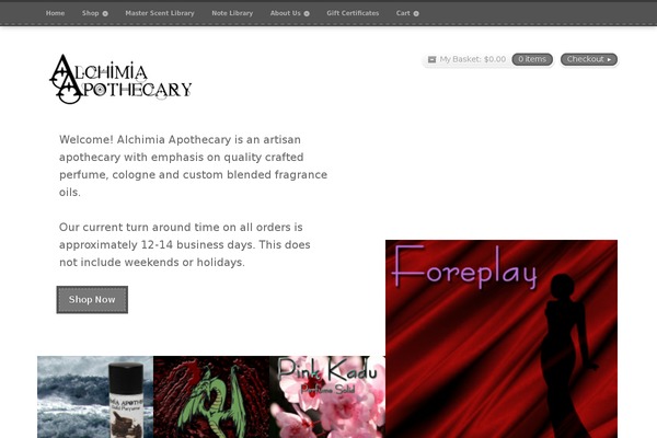 Artificer theme site design template sample