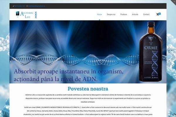 WordPress website example screenshot