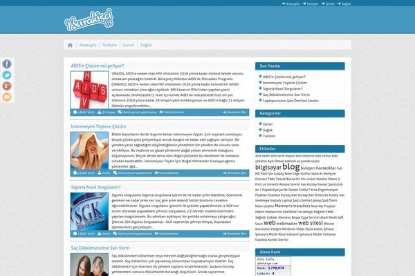 Burakisci V3 theme site design template sample
