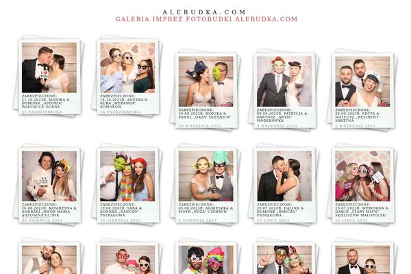 alegaleria.com site used Polaroids