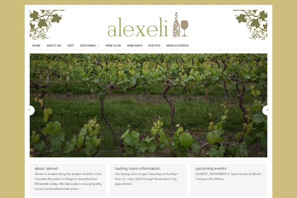 alexeli.com site used Portfolio