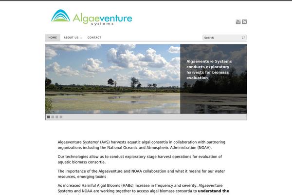 algaevs.com site used PlatformPro