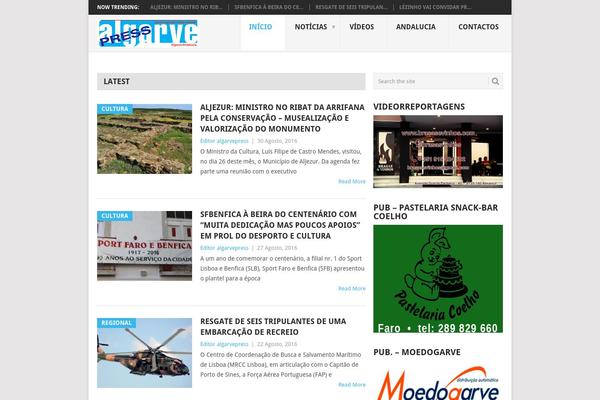 Point theme site design template sample