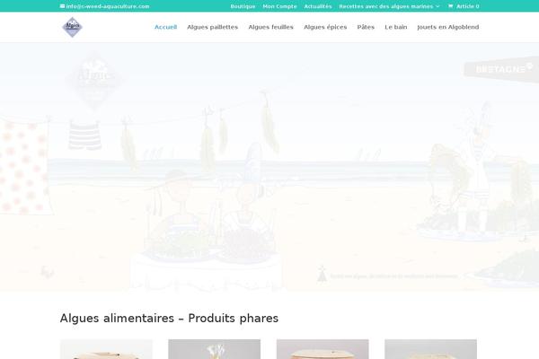 Divi Child theme site design template sample