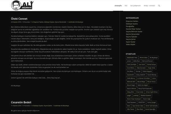WordPress website example screenshot