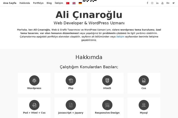 alicinaroglu.com site used Retrov3