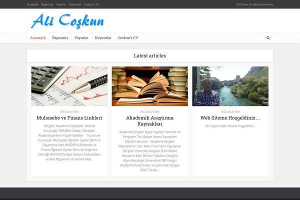 alicoskun.net site used Voice11