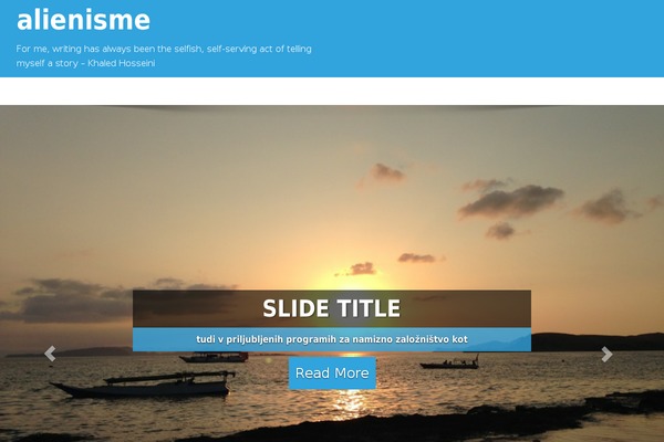 Boksy Lite theme site design template sample