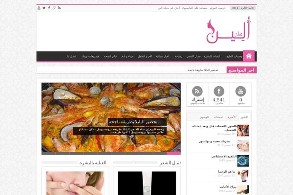 Sahifa theme site design template sample