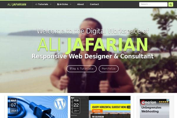 Ali theme site design template sample