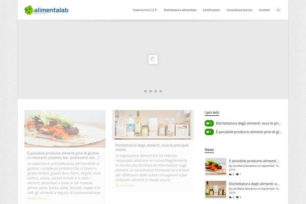 Flexform theme site design template sample