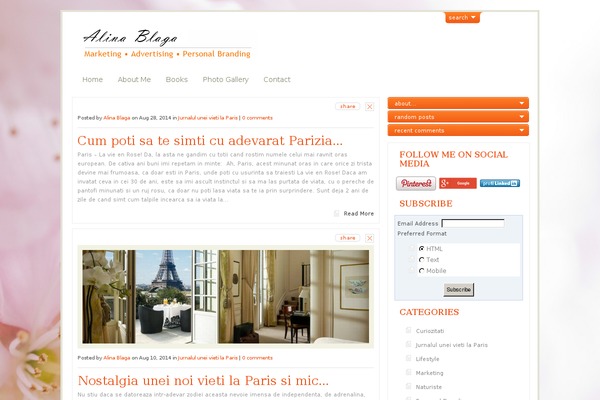 WordPress website example screenshot