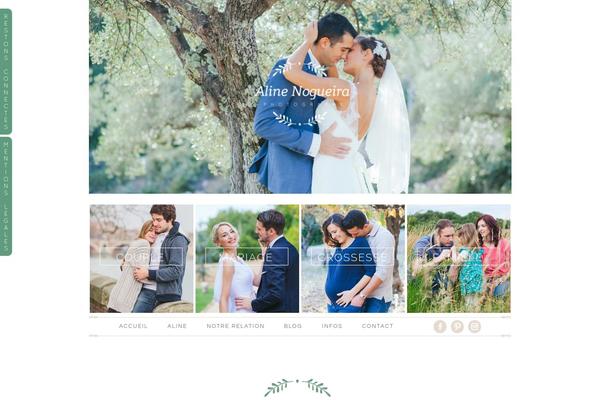 ProPhoto 5 theme site design template sample