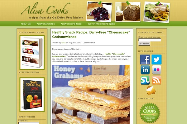 alisacooks theme websites examples