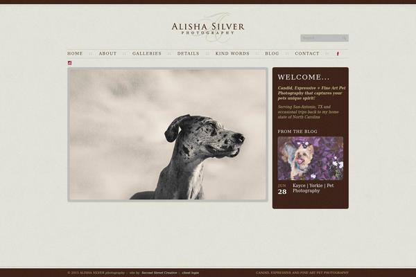 Silver theme site design template sample