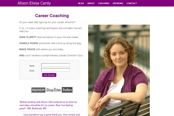 WordPress website example screenshot
