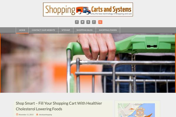 all-about-shopping-baskets-and-shopping-carts.com site used WEN Associate