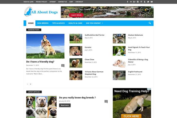 WordPress website example screenshot