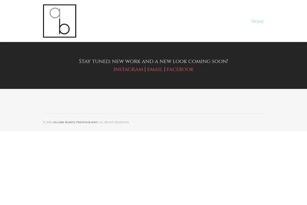 Baylie theme site design template sample