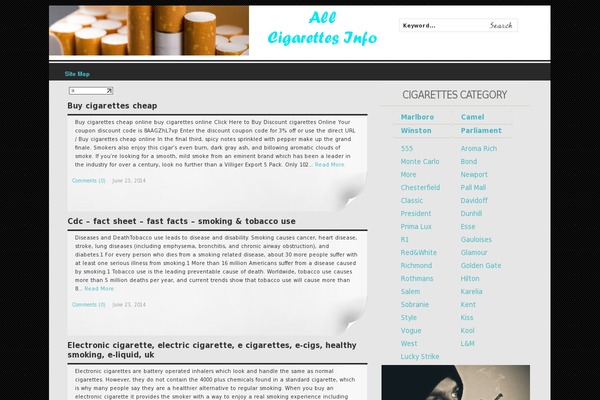 WordPress website example screenshot
