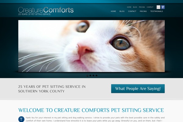 WordPress website example screenshot