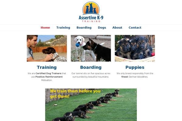 WordPress website example screenshot