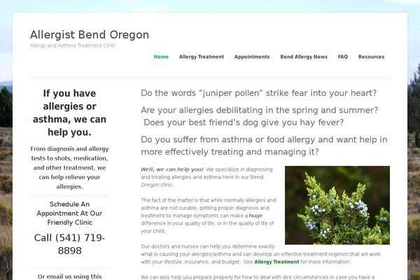 WordPress website example screenshot