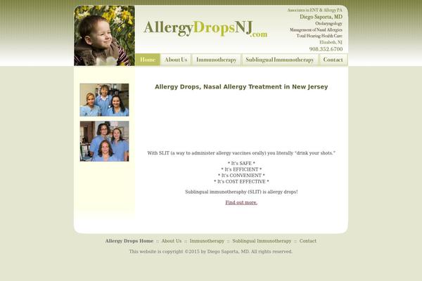 WordPress website example screenshot
