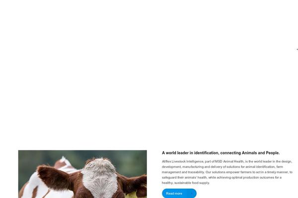 BeTheme Child theme site design template sample