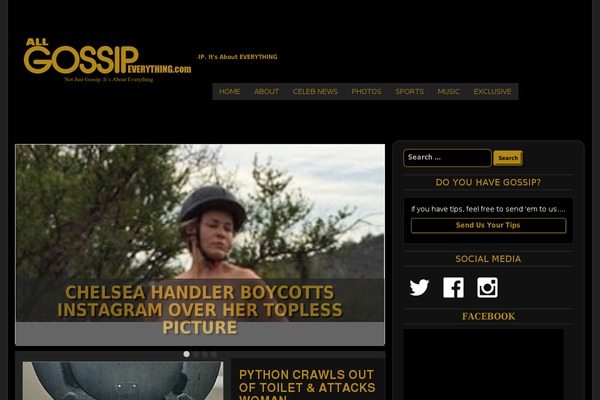 age WordPress theme, websites list used age theme age theme websites examples