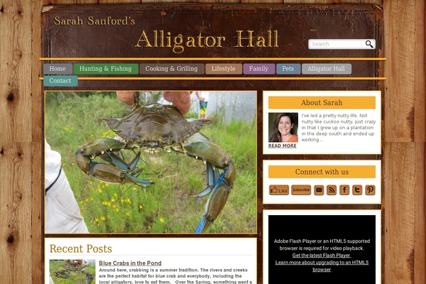 alligatorhall.com site used Alligatorhall