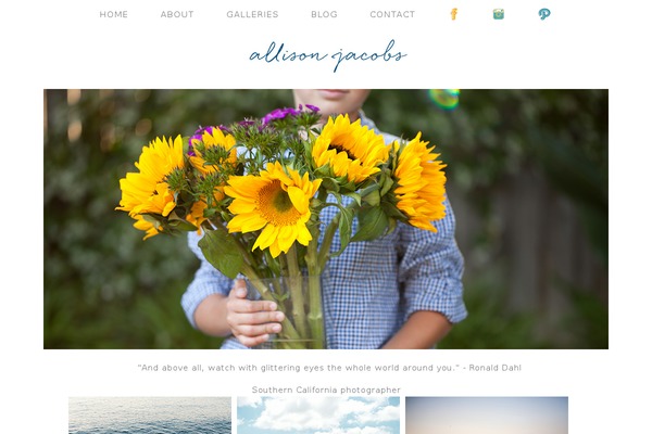 WordPress website example screenshot