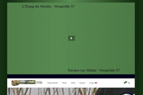 Site using Divi-lottie-animations plugin
