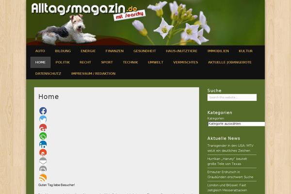 Newsium theme site design template sample
