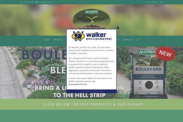 Divi theme site design template sample