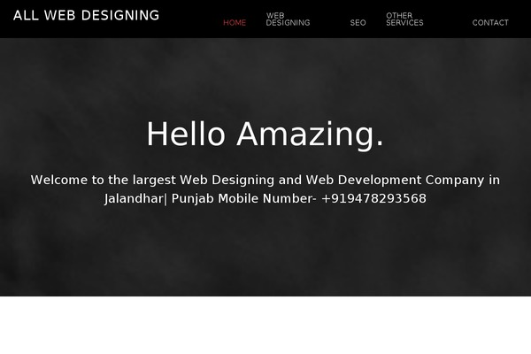 Parallax Pro theme site design template sample