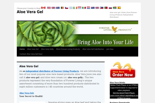 WordPress website example screenshot