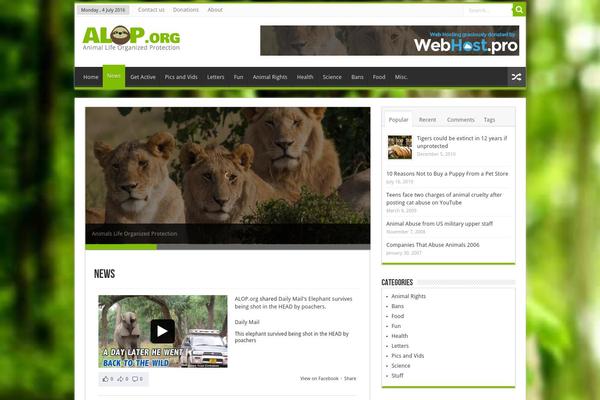 Sahifa theme site design template sample