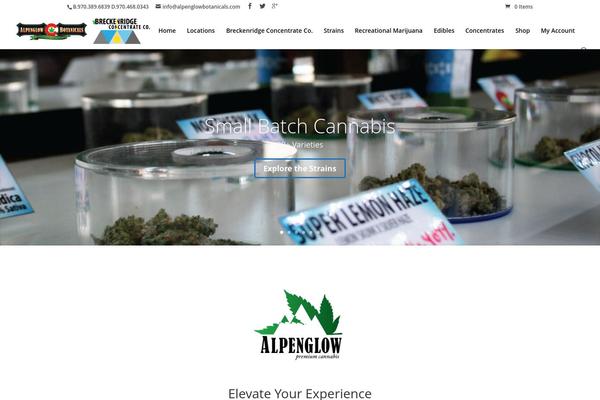 Divi theme site design template sample